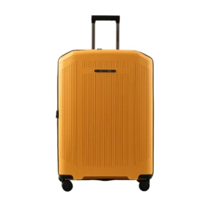 Richmont  - 24 Inch Check-In Luggage